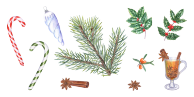 Watercolor Christmas symbols, accessories. Spruce branch, glass cup of warming drink, cinnamon stick, star anise, green ilex leaves with red berries, Xmas icicle, candy canes, sea buckthorn berries png