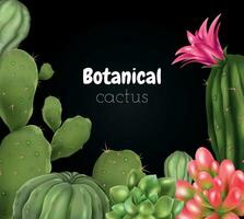 botánico cactus pizarra composición vector