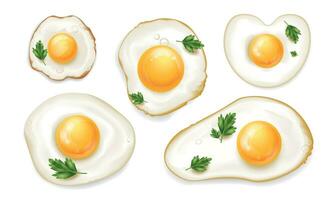 Fried Eggs Set vector