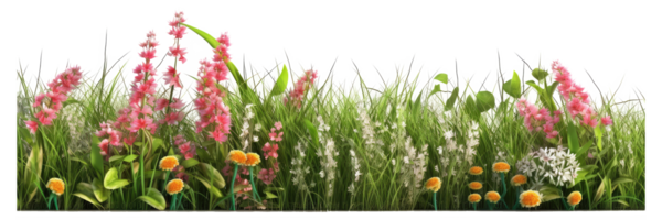 detailopname van gras met bloemen . ai gegenereerd png