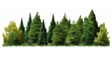 Green trees, shrubs and meadow . AI Generated png