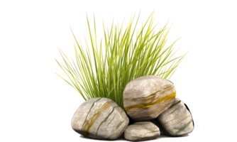 rock with light grass clear . AI Generated png