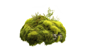 rock covered with moss . AI Generated png