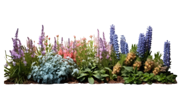 Bright spring flowers surrounded by garden plants cutout transparent backgrounds . AI Generated png