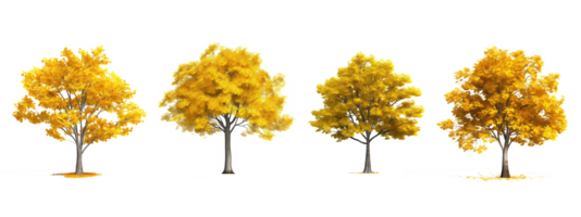 ginkgo arbre . ai généré png