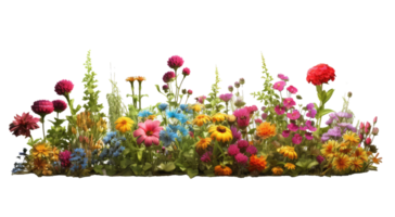 bright spring flowers border with wild plants . AI Generated png