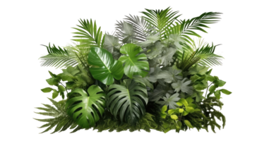 Tropical leaves, plants, bushes, natural floral arrangement . AI Generated png