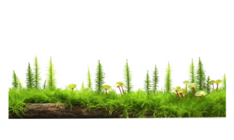 green grass growing in a meadow with moss . AI Generated png