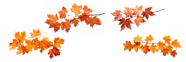 maple leaf autumn orange . AI Generated png