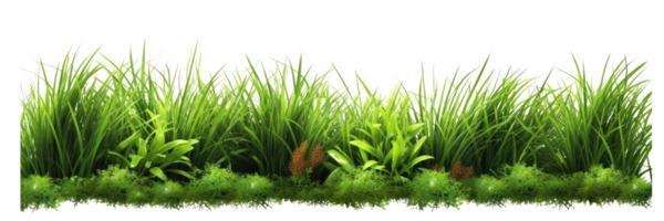 fresh spring green grass . AI Generated png