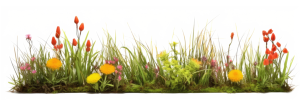 close-up of grass with flowers . AI Generated png