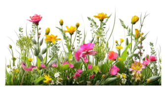 colorful flower garden in full bloom . AI Generated png