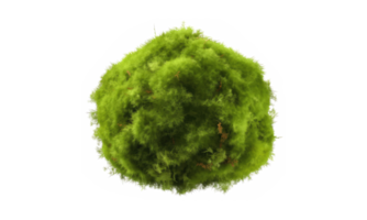 rock covered with moss . AI Generated png