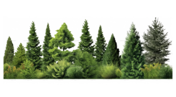 Green trees, shrubs and meadow . AI Generated png