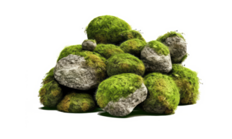 Dark rocks partially covered with moss . AI Generated png