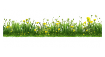 Dandelion, green grass and clover . AI Generated png