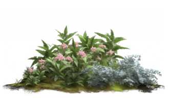 Nature shrubs flowery realistic 3d rendering . AI Generated png