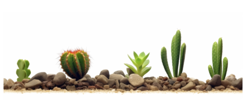 small rocks and cactus and green desert sunlight . AI Generated png