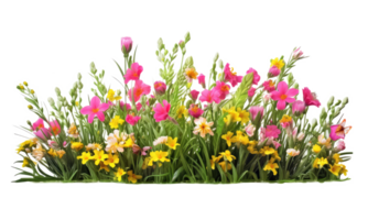 colorful flower garden in full bloom . AI Generated png