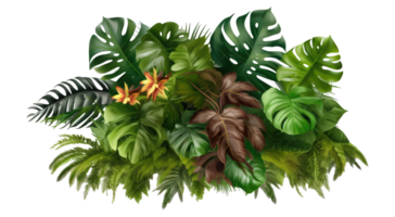 Tropical leaves, plants, bushes, natural floral arrangement . AI Generated png