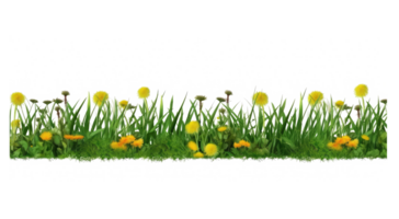 Dandelion, green grass and clover . AI Generated png