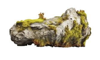 Dark rocks partially covered with moss . AI Generated png