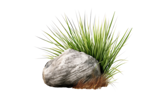 rock with light grass clear . AI Generated png
