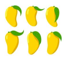 Realistic yellow mango fruit with leaf set. Different shapes and simple design. vector