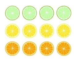 Set of sliced orange and lemon. Realistic flat design. vector