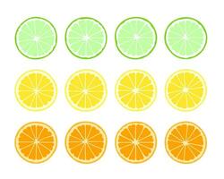 Set of sliced orange and lemon. Realistic flat design. vector