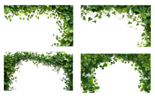 frodig grön murgröna vinstockar formning en hörn ram . ai genererad png