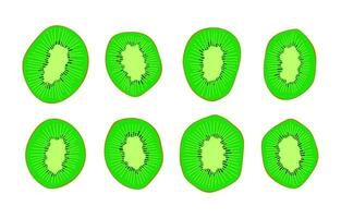 Set of realistic sliced kiwis. Realistic flat design. vector