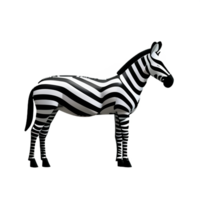 zebra 3d tolkning ikon illustration png