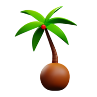 Coco árbol 3d representación icono ilustración png