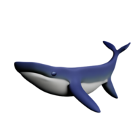 whale 3d rendering icon illustration png