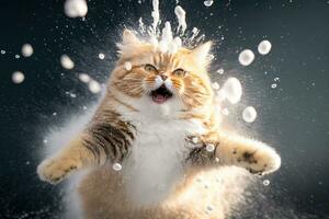 Cat smacked by snowball. Cute kitten with surprised and angry face, hit by snow during snow fight. Generated AI. photo