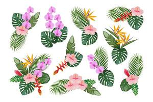 tropical conjunto de mano dibujado floral acuerdo. vector botánico ilustración. diseños para el diseño de saludo tarjetas y invitaciones
