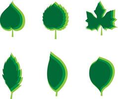 Various types of leaves that are stacked vector