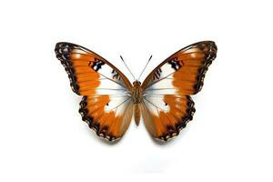 Butterfly with colorful wings isolated on white. Generative AI. photo