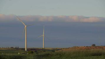 windmolens Bij zonsondergang landschap video