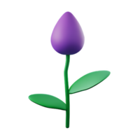 lavender 3d rendering icon illustration png