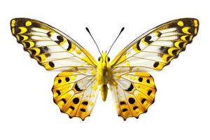 Butterfly with colorful wings isolated on white. Generative AI photo