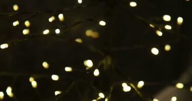 Tree lamp with following bokeh glow video