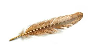 Bird feather on white background. Beautiful bird plumage or wing element, isolated smooth feather. Generated AI. photo