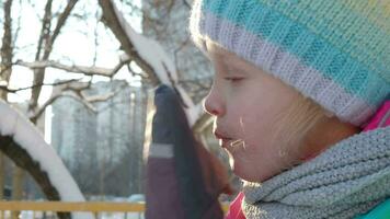 Extérieur hiver portrait de peu fille video