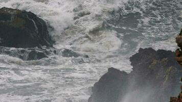 masivo y poderoso Oceano olas aplastante el costa en nazaré, Portugal video