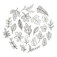 Hand Drawn Autumn Leaves Collection vector