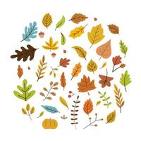 plano mano dibujado otoño hojas colección vector