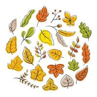 Hand Drawn Autumn Leaves Collection vector