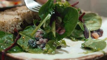 aan het eten lunch in cafe met vers salade mengen video